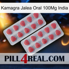 Kamagra Oral Jelly 100Mg India 19